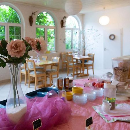 Hotel Dolgesheim Εξωτερικό φωτογραφία